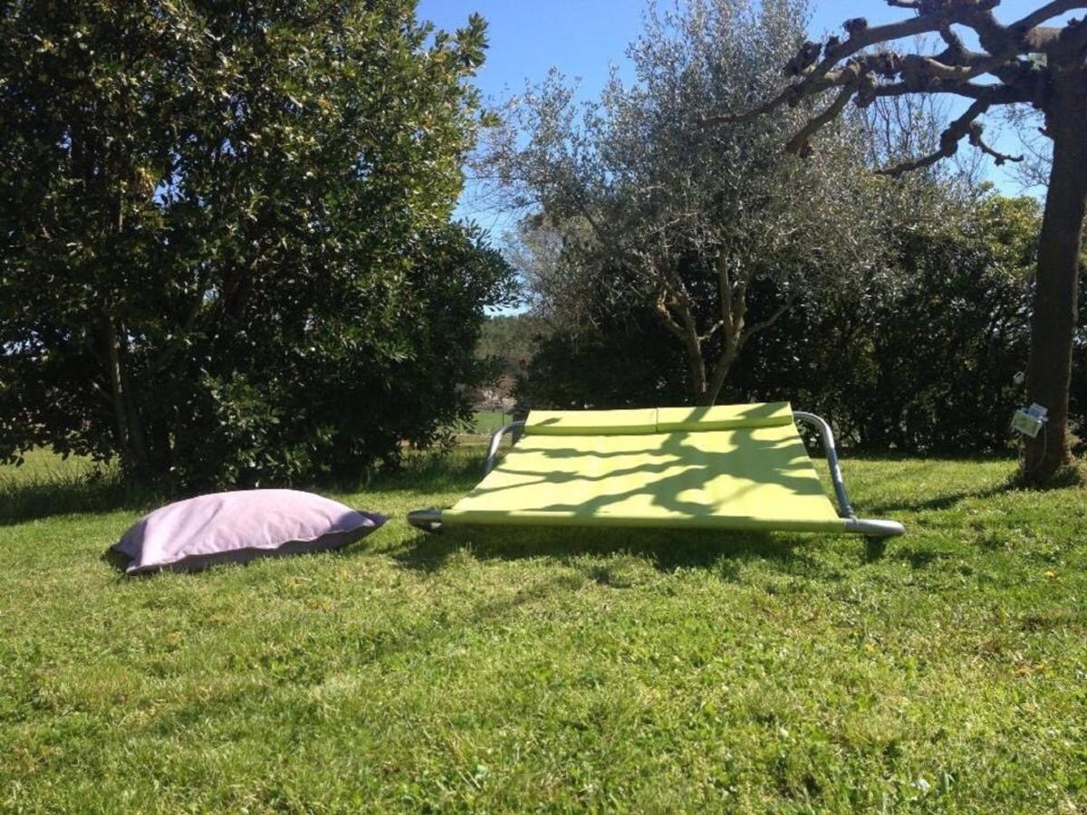 Bed and Breakfast La Vignarelle à Callas Extérieur photo
